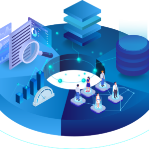 Standardizing Enterprise Data: Microsoft Integration Architecture Consulting Services